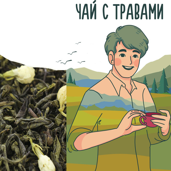 Настоящий чай с жасмином. Зеленый чай с бутонами жасмина "Молли Хуа Ча ...