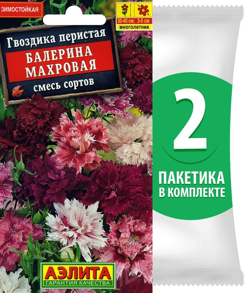 Семена Гвоздика перистая махровая Балерина смесь сортов, 2 пакетика по 0,1г/50шт  #1