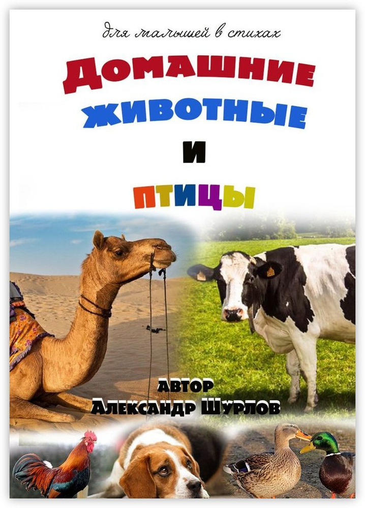 Домашние животные и птицы | Шурлов Александр - купить с доставкой по  выгодным ценам в интернет-магазине OZON (173252426)