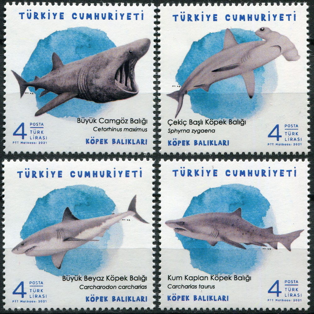 Турция 2021. Акулы (MNH OG) Серия из 4 марок #1