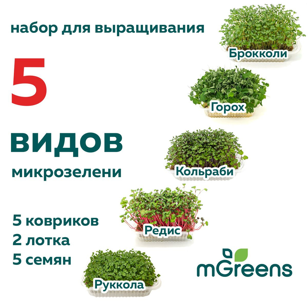 mGreen’s Набор для выращивания