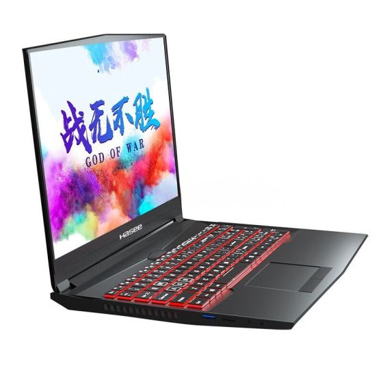 Игровой ноутбук Hasee, 16.1, TX8-CA5DP, Intel Core i5-11400, 16 ГБ