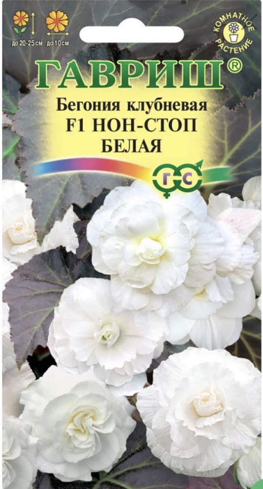 Бегонии Гавриш Комнатные растения - купить по выгодным ценам в интернет-магазине OZON (838423825)