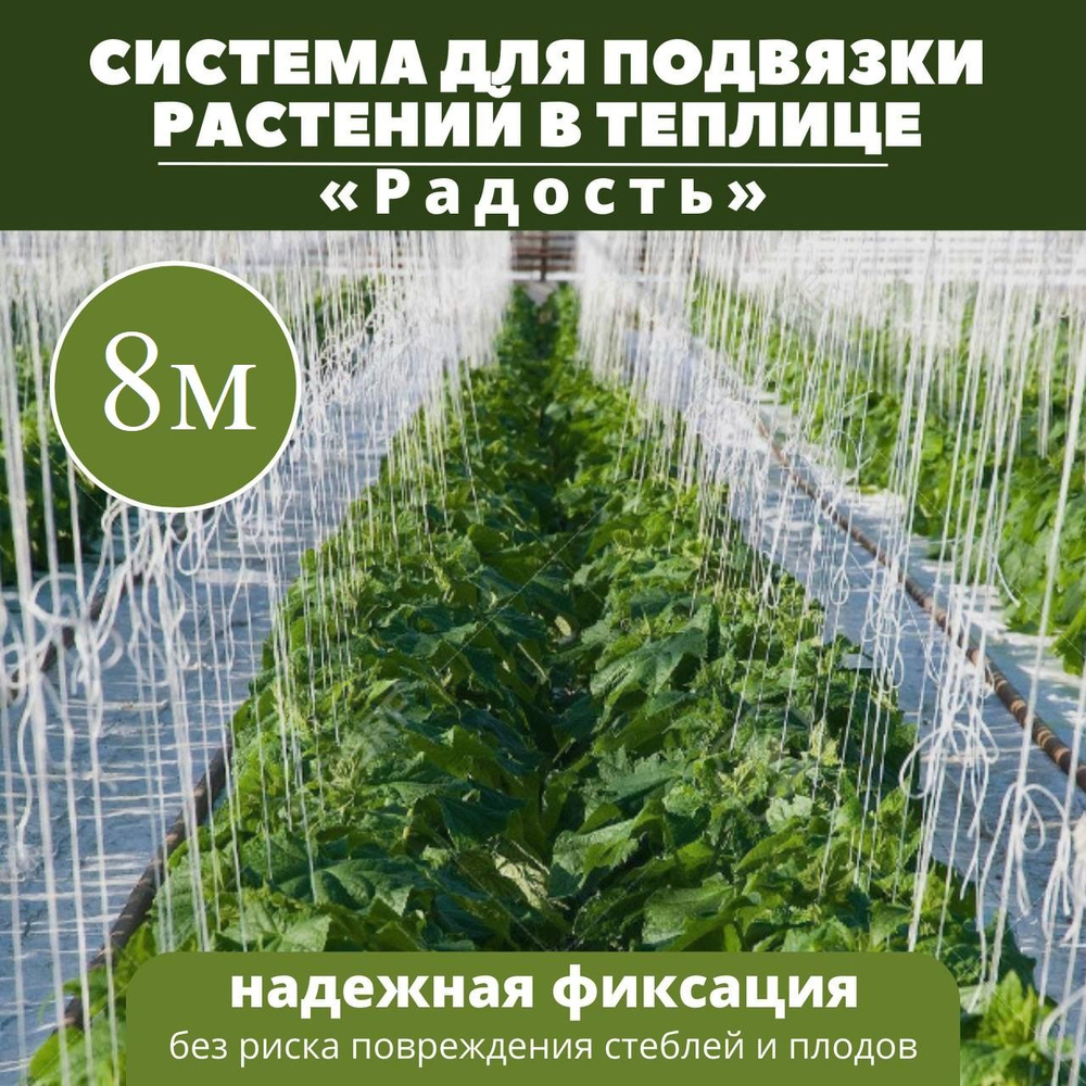 Система Радость для подвязки растений в теплице 8м / комплект креплений для  подвязки / трос в теплицу - купить по выгодной цене в интернет-магазине  OZON (212624960)