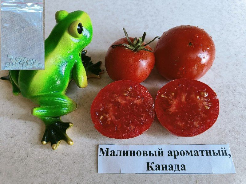 Семена #1