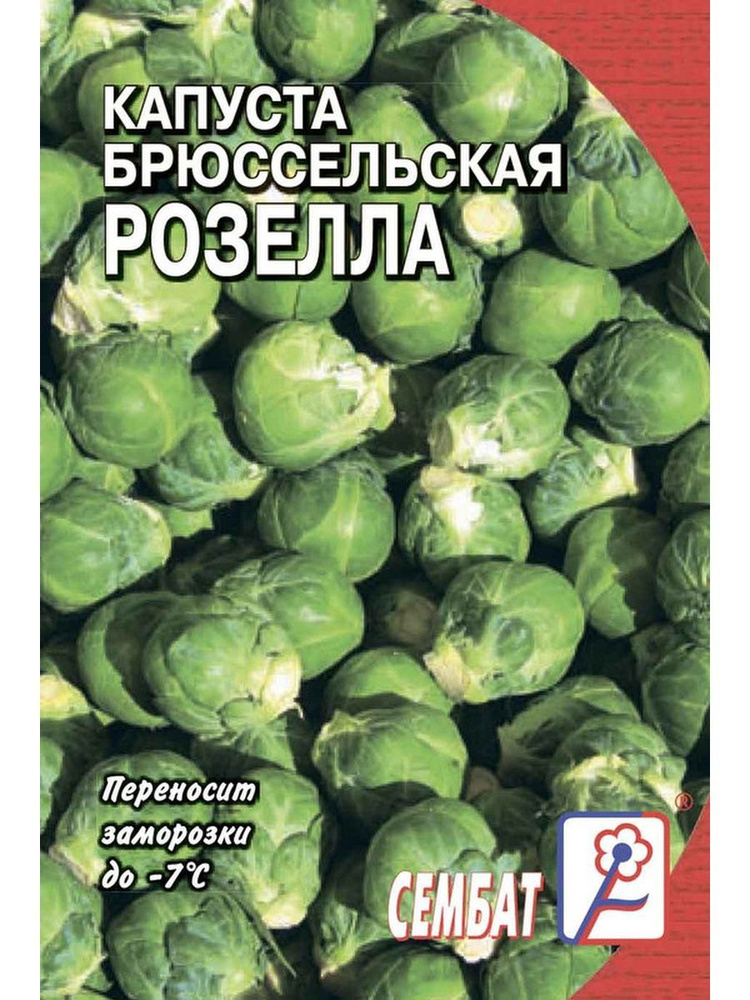 Капуста горькая, что делать. Свежая капуста горчит — надо что-то делать