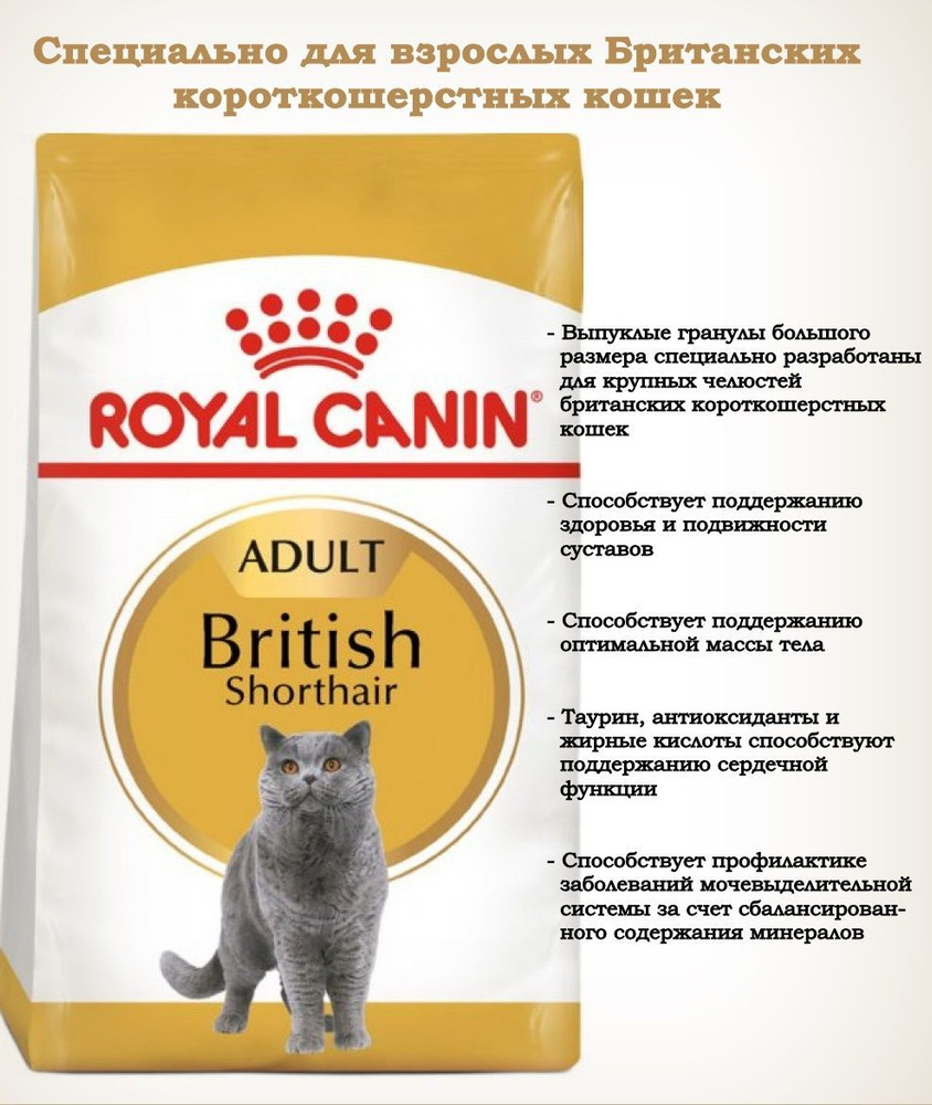 Сухой корм Royal Canin British Shorthair Adult для взрослых кошек британской породы с курицей 4 кг  #1