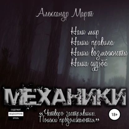 Механики. Четверо застрявших. Поиски продолжаются | Александр Март | Электронная аудиокнига  #1