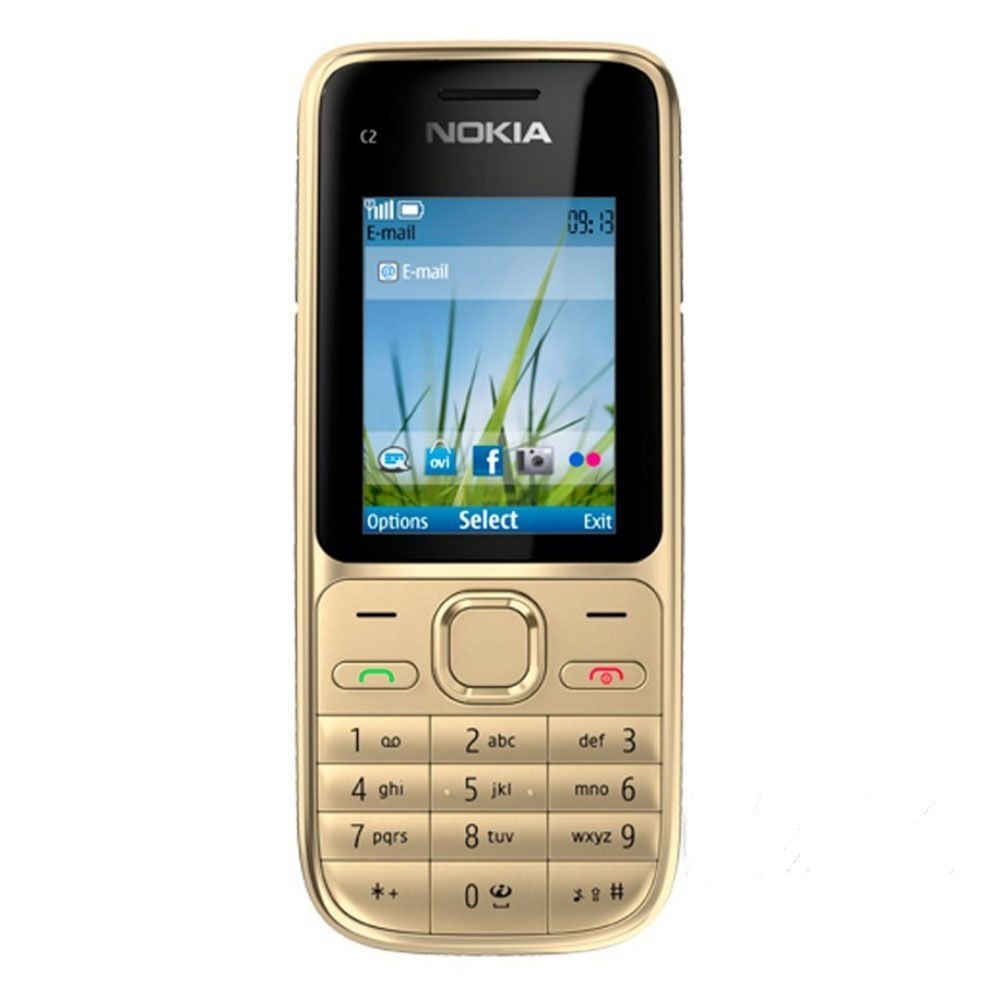 Мобильный телефон Nokia C2-01, золотой - купить по выгодной цене в  интернет-магазине OZON (1276884488)