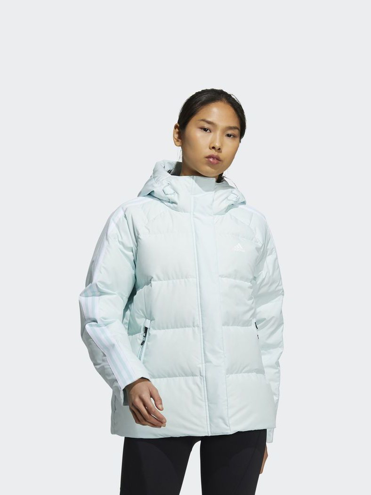 Adidas the deals north face