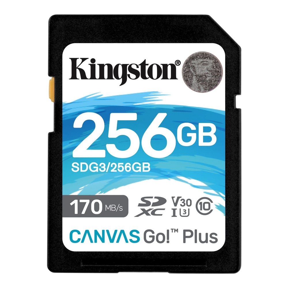 Kingston Карта памяти 256 ГБ (SDG3/256GB) - купить с доставкой по выгодным  ценам в интернет-магазине OZON (1448904309)