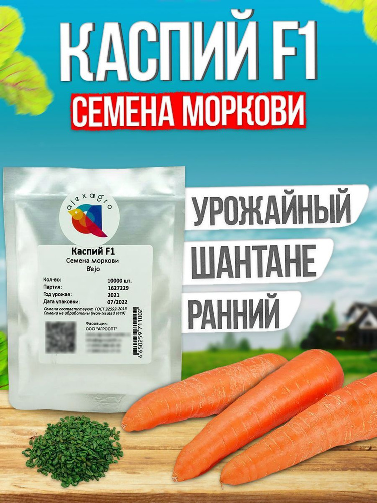 Каспий F1 семена моркови ранней, 10000 шт. (Bejo / ALEXAGRO). Высокоурожайный гибрид для открытого грунта #1