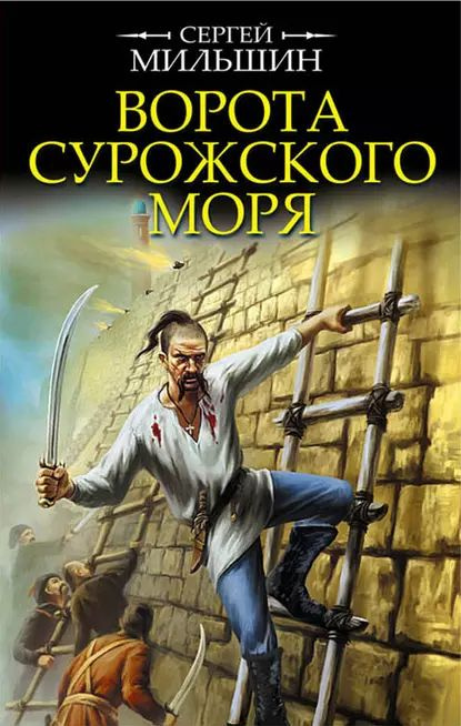 Ворота Сурожского моря | Мильшин Сергей Геннадьевич | Электронная книга  #1