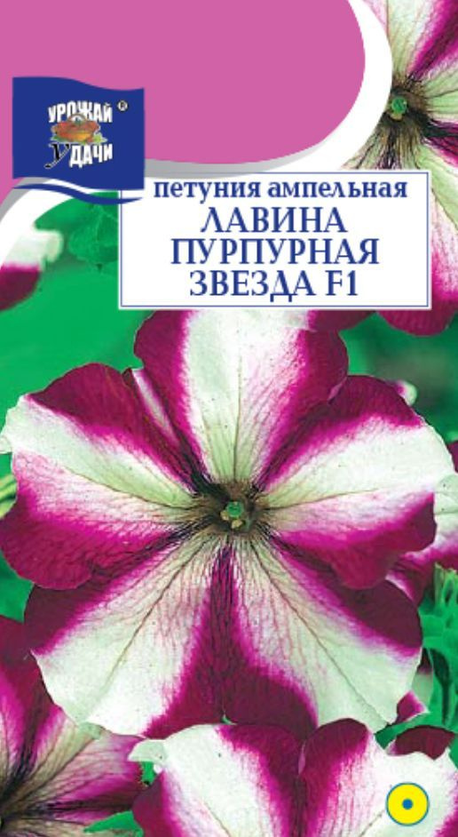 Петуния ампельная ЛАВИНА звезда ПУРПУРНАЯ F1 (Семена УРОЖАЙ УДАЧИ, 10 штук семян в ампуле в упаковке) #1