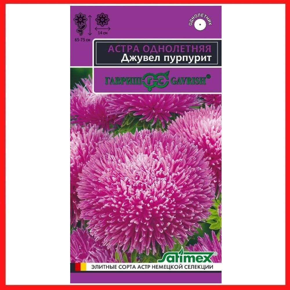 Семена Астра игольчато-коготковая "Джувел Пурпурит" 0,05 гр, однолетние цветы для дачи, сада и огорода, #1