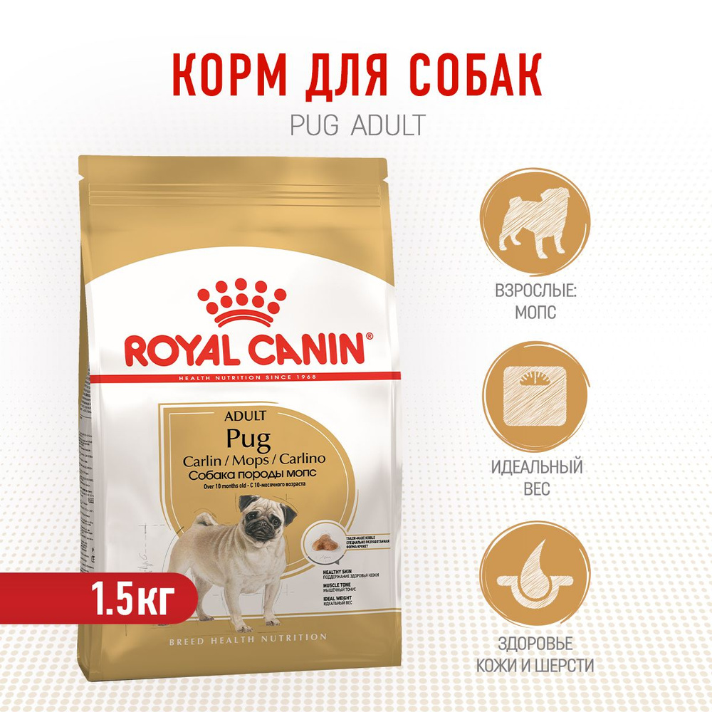 Pug royal best sale canin food