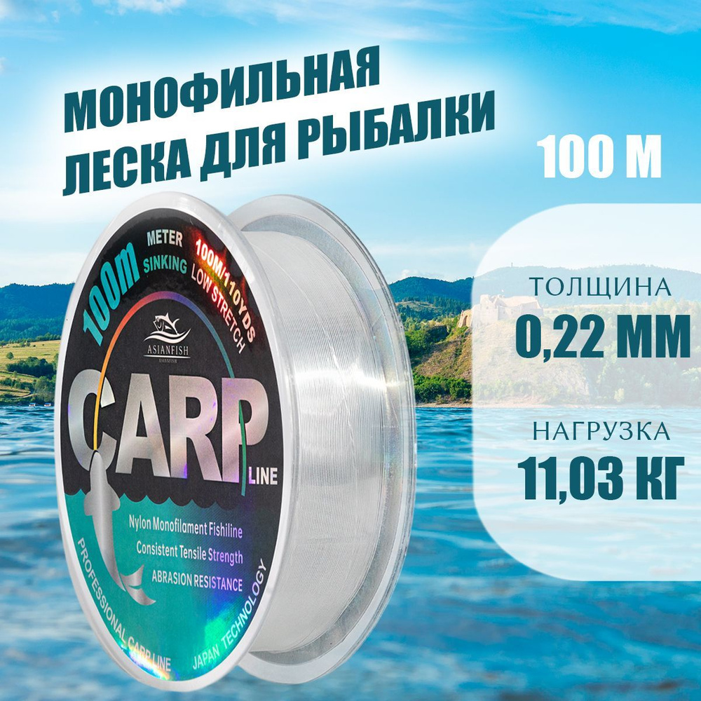 ASIANFISH Монофильная леска для рыбалки, размотка: 100 м, толщина: 0.22 мм  #1