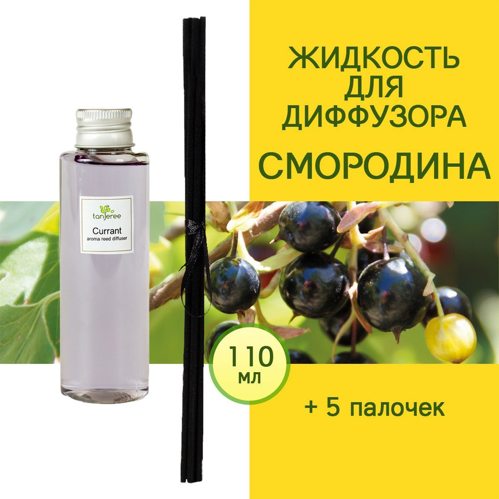 Наполнитель для ароматического диффузора Tanjeree, Жидкий, Смородина, 110  мл купить по доступной цене с доставкой в интернет-магазине OZON (524466569)