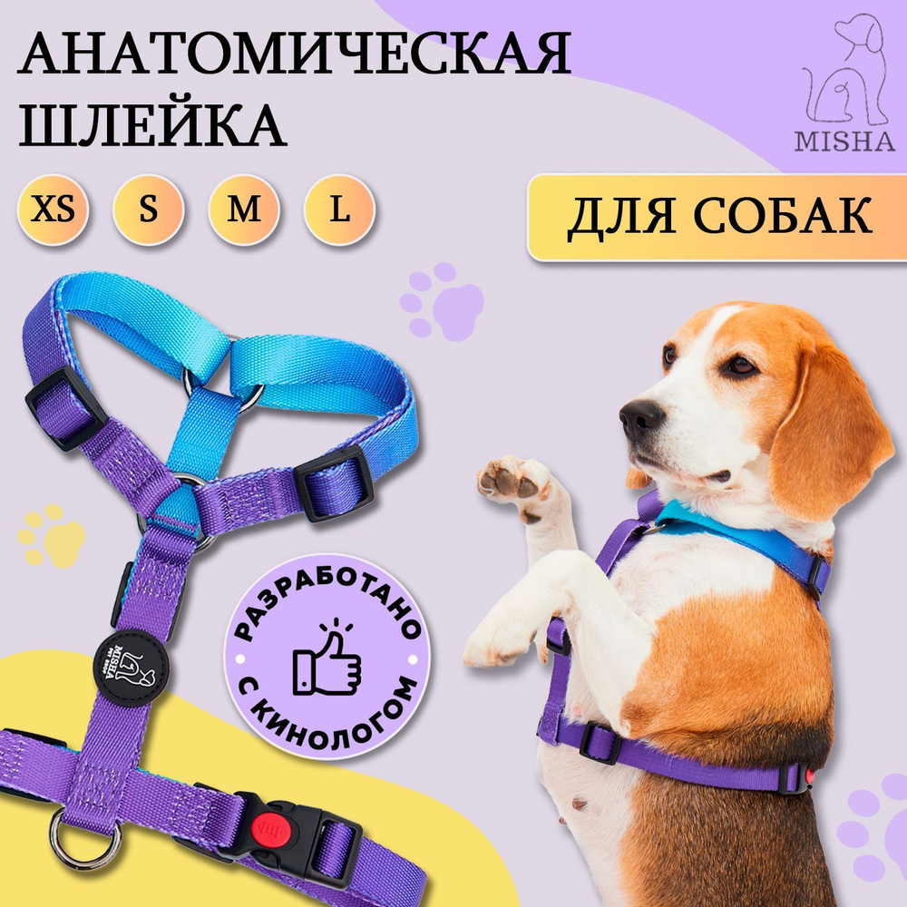 MISHA Шлейка для собак мелких пород анатомическая, сине-фиолетовая, S -  купить с доставкой по выгодным ценам в интернет-магазине OZON (926302390)