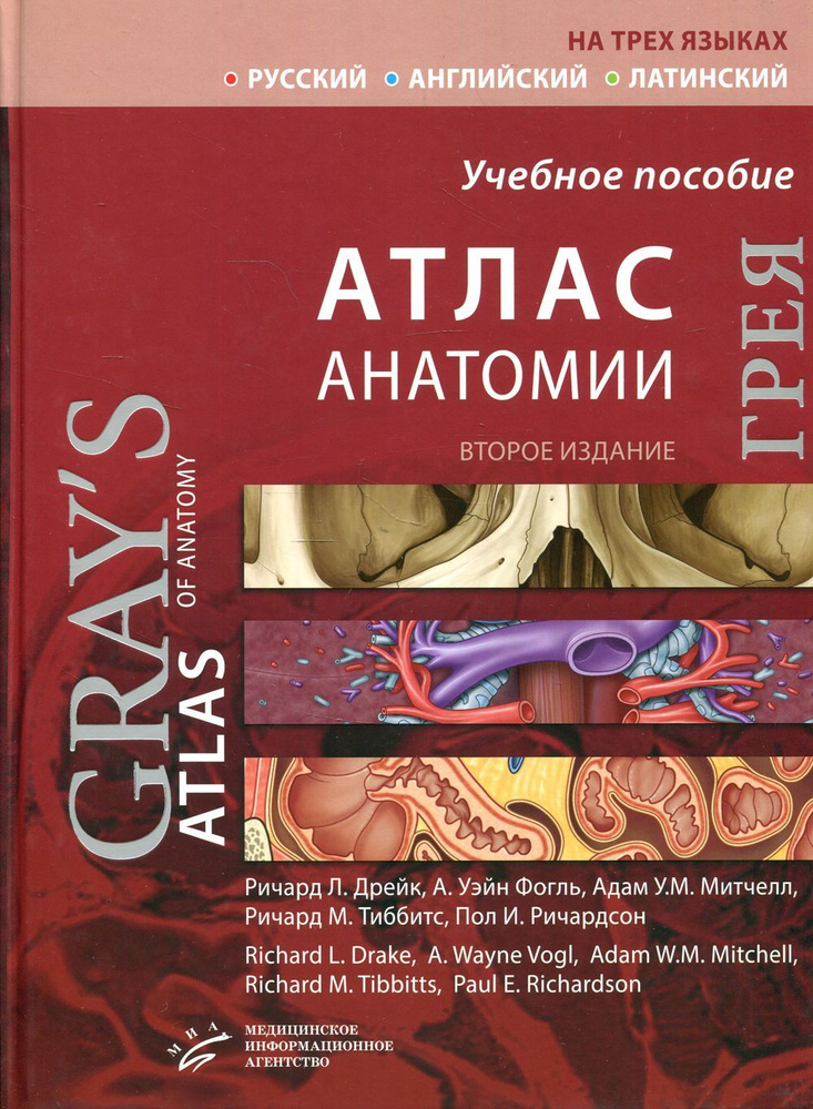Атлас анатомии Грея: Учебное пособие (на 3-х языках: русский, английский, латинский). 2-е изд  #1