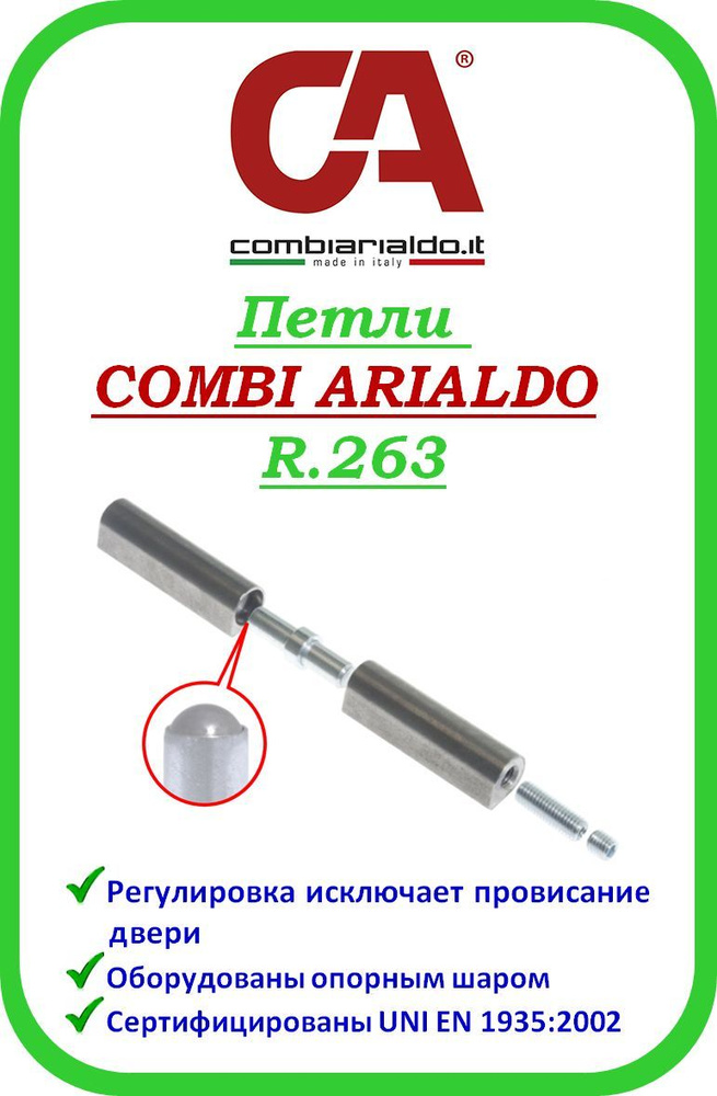 Итальянские приварные петли Combi Arialdo R.263 22*140 шток с закаленным шаром  #1