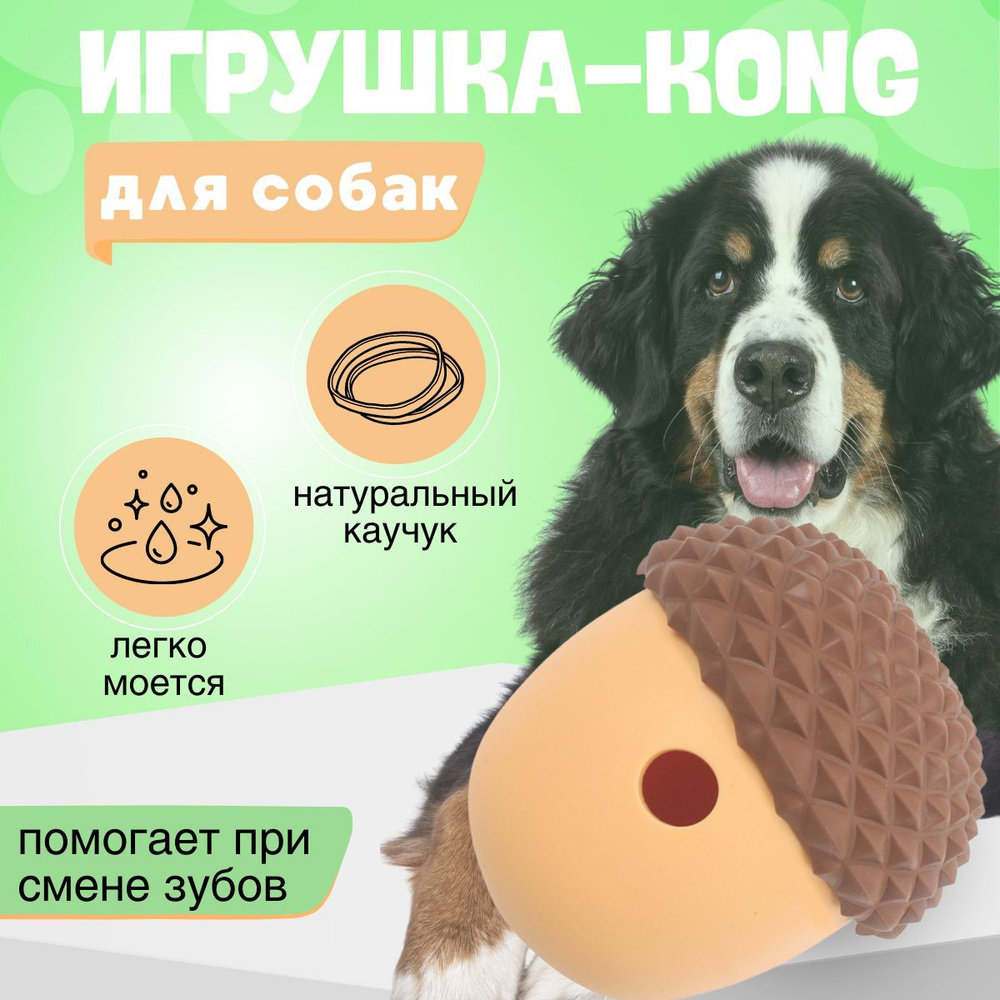 Игрушка Kong для собак для питания, ухода за зубами и антистресс - купить с  доставкой по выгодным ценам в интернет-магазине OZON (1152752810)