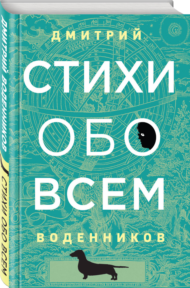 Стихи обо всем | Воденников Дмитрий Борисович #1