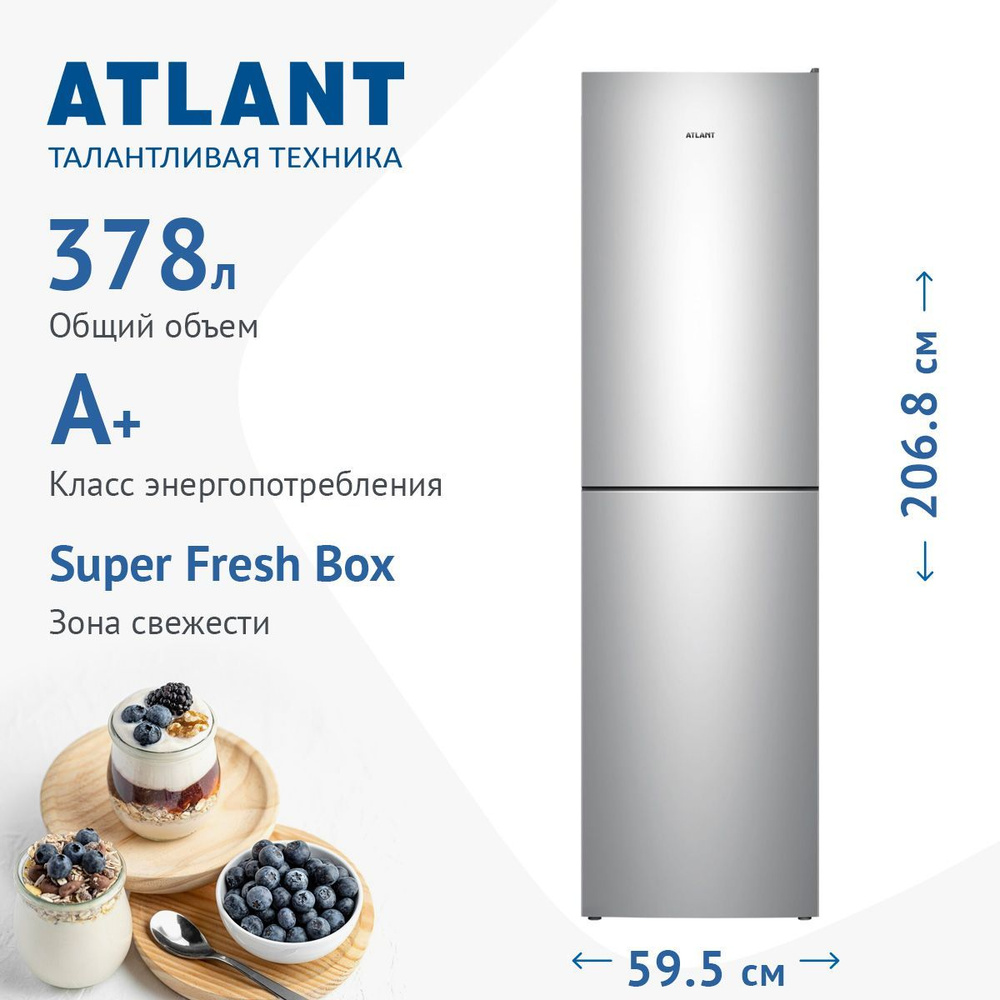 ATLANT Холодильник ХМ 4625-181 серебристый, серебристый купить на OZON ...