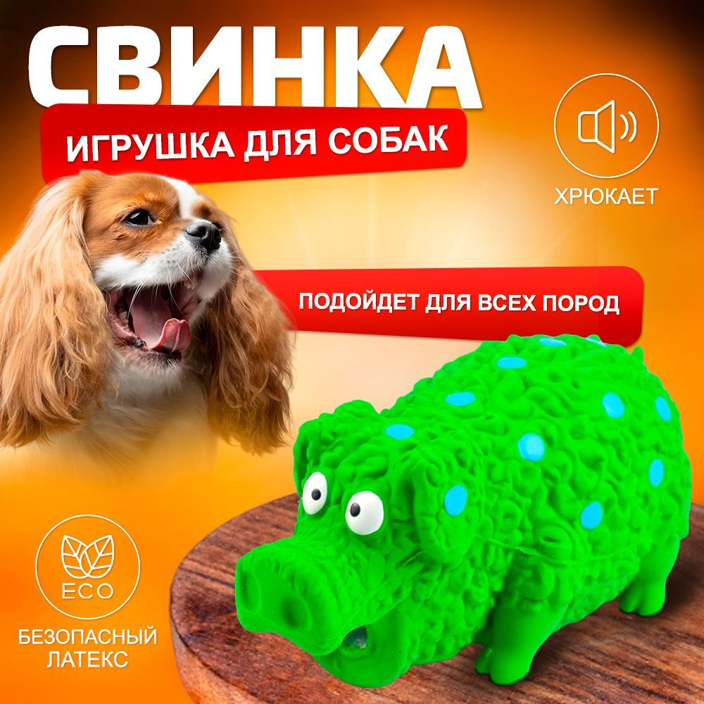 Игрушка для собак Wetnose свинья , латекс , зеленая , игрушечная , прочная  , массажная свинка пищалка для щенков , мелких ,средних и крупных пород для  развивающих игр и дрессировки - купить