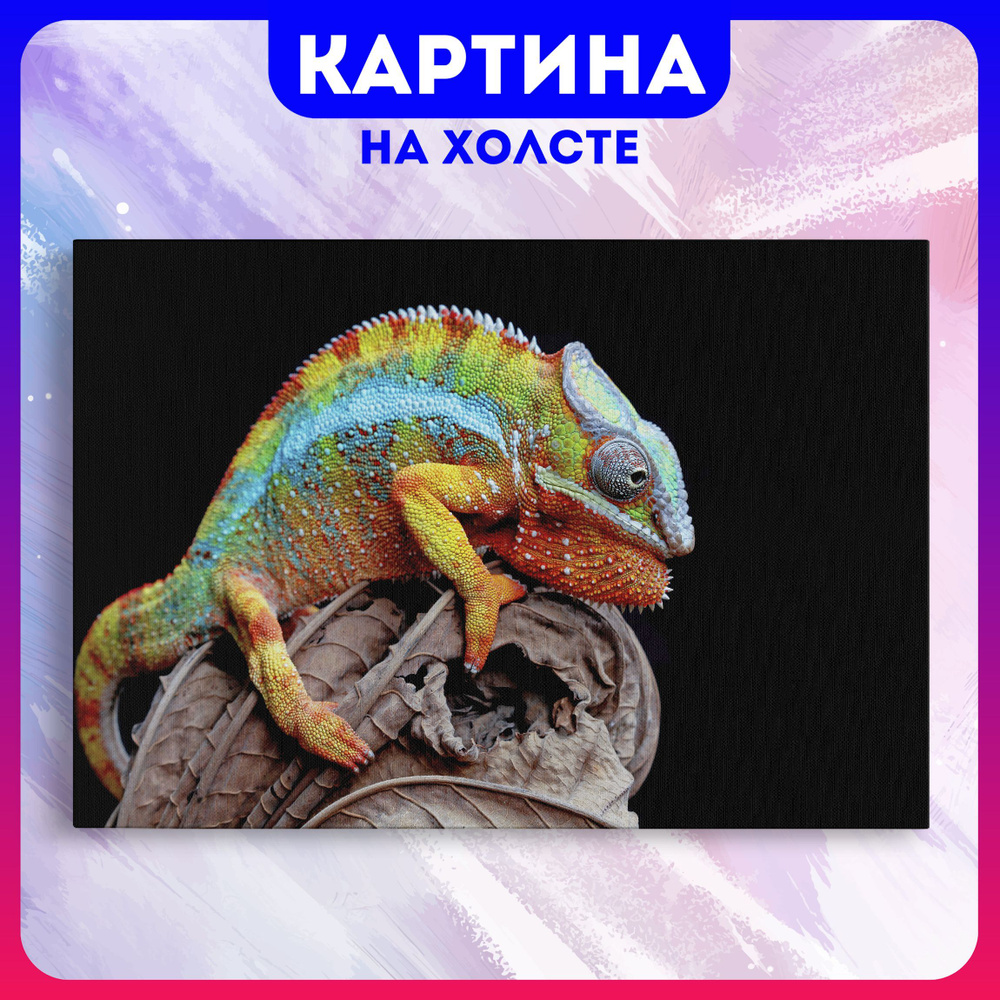 Картина на холсте Природа животные хамелеон (9) 60х80 см - купить по низкой  цене в интернет-магазине OZON (1213035131)