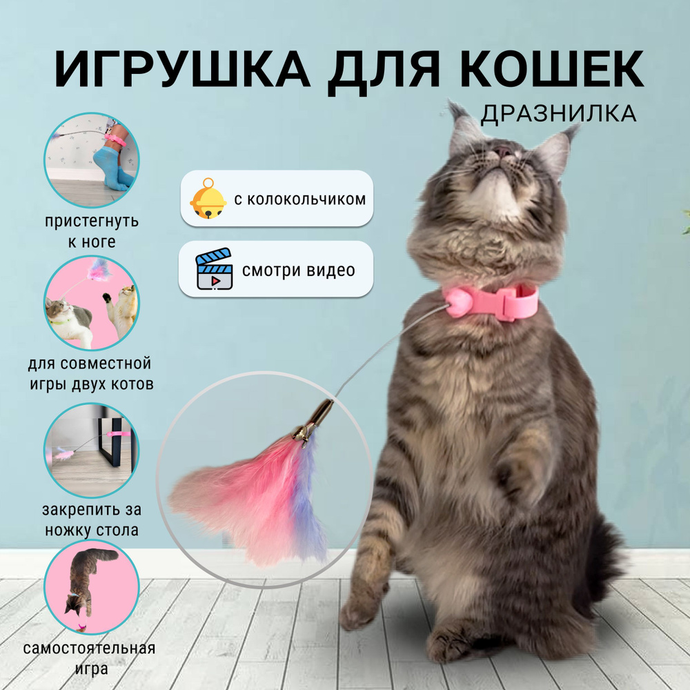 Игрушка для кошек интерактивная, удочка дразнилка на шею/ зоотовары для  котят и кошек - купить с доставкой по выгодным ценам в интернет-магазине  OZON (1222042193)