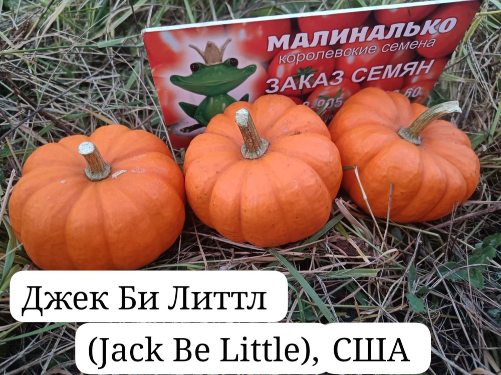 Семена #1