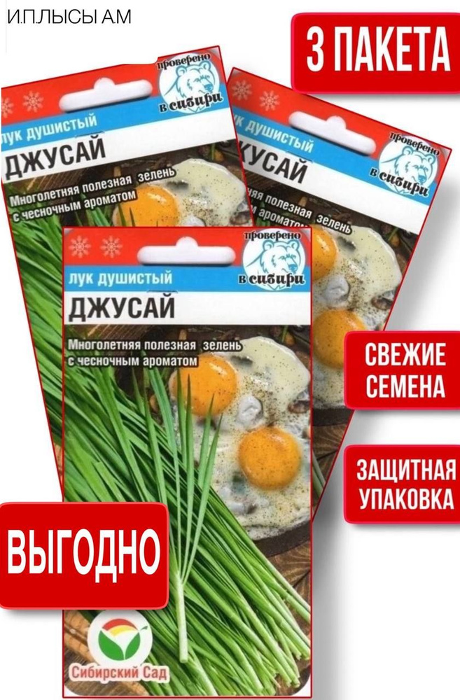 Семена Лук Джусай #1