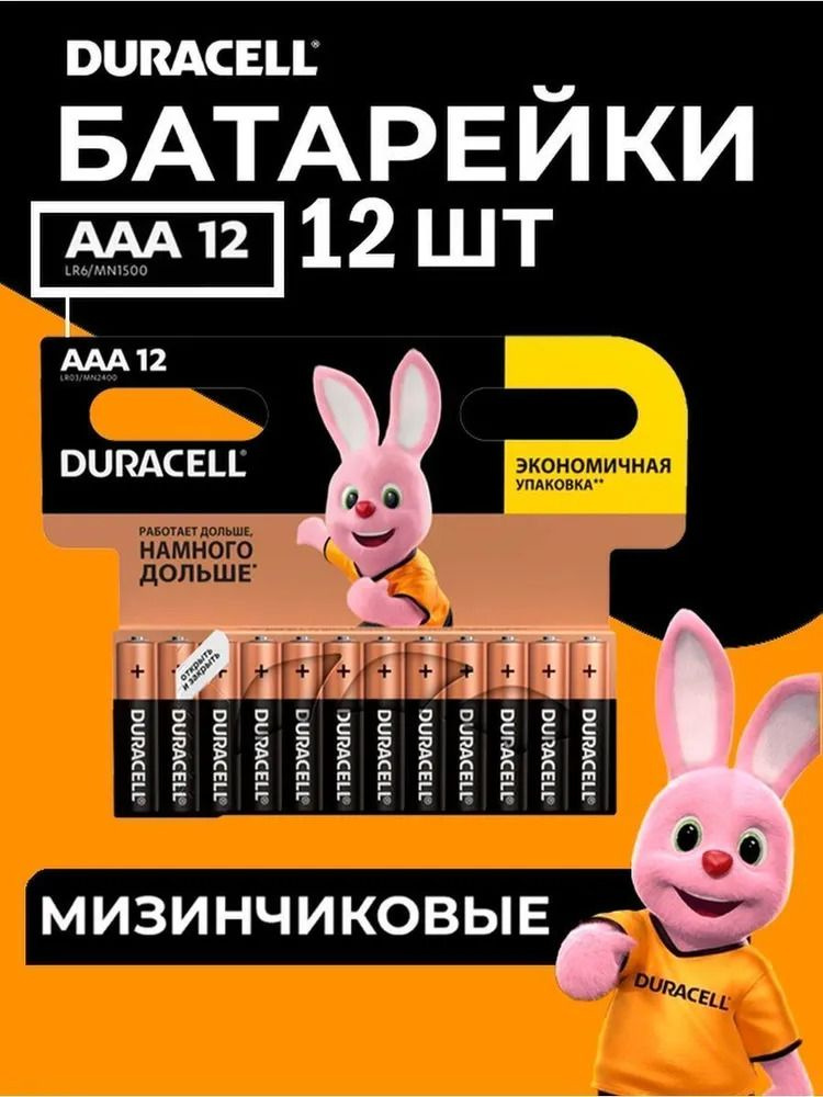 Батарейки щелочные (алкалиновые) Duracell Basic ААA LR03-MN2400, 1,5В, 12шт (мизинчиковые)  #1