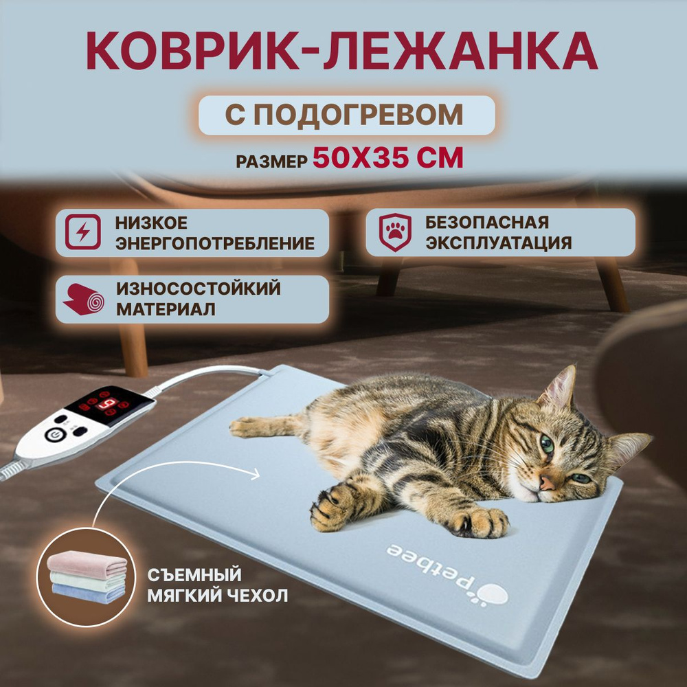 Гиперестезия у кошек