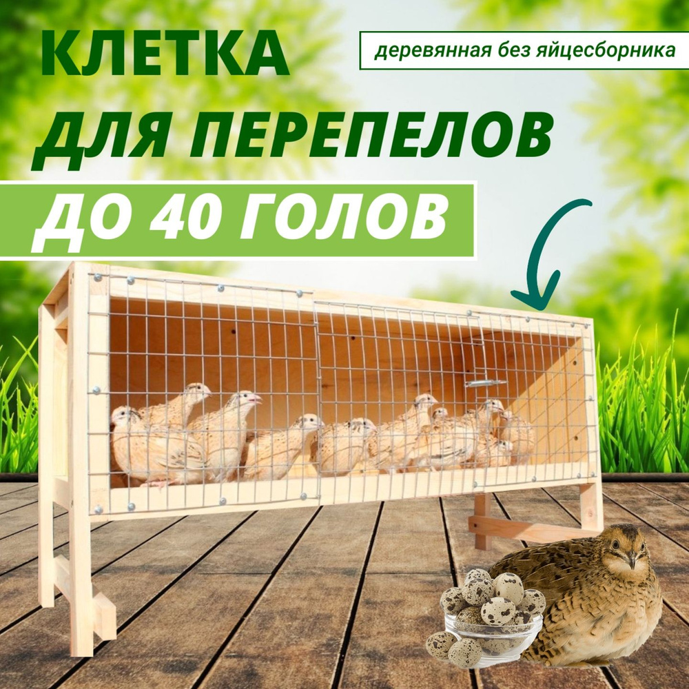 Клетка для перепелов голов (6 ярусов) (КПя)