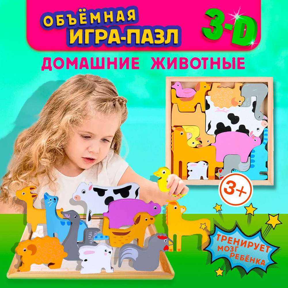 Развивающая игра-головоломка деревянная 