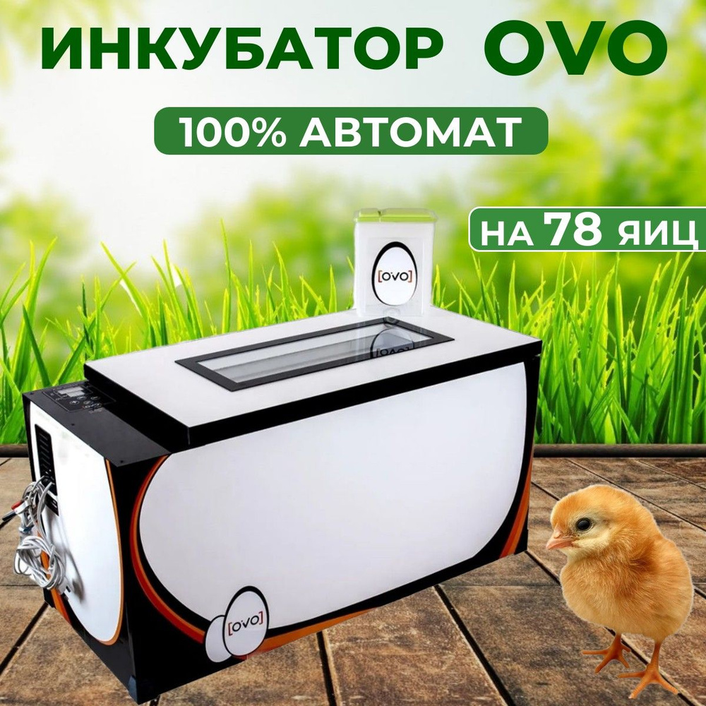 Инкубатор OVO на 78 яиц (100% автомат)