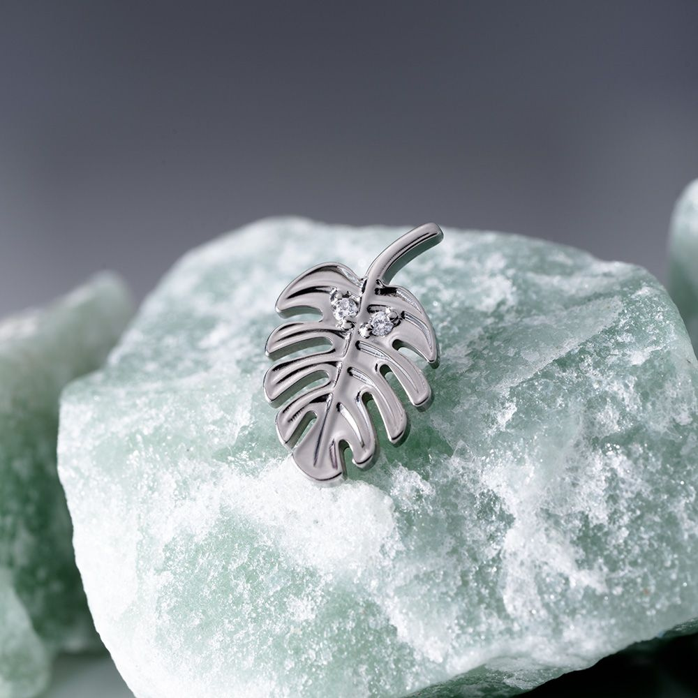 Пирсинг Implant Grade лабрет в ухо, хрящ, хеликс, трагус, конч, мочка ...