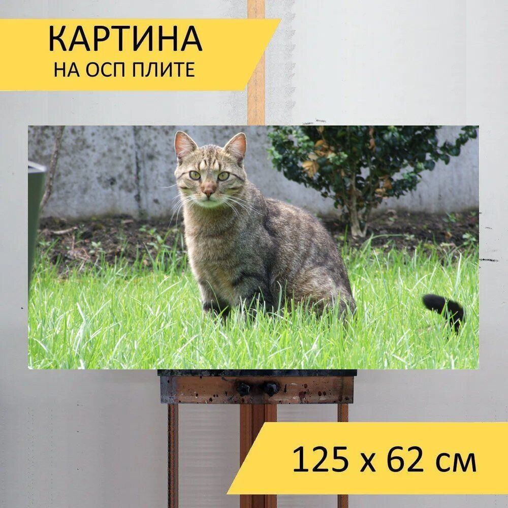 LotsPrints Картина "Кот, скумбрия, животное 17", 125  х 62 см #1