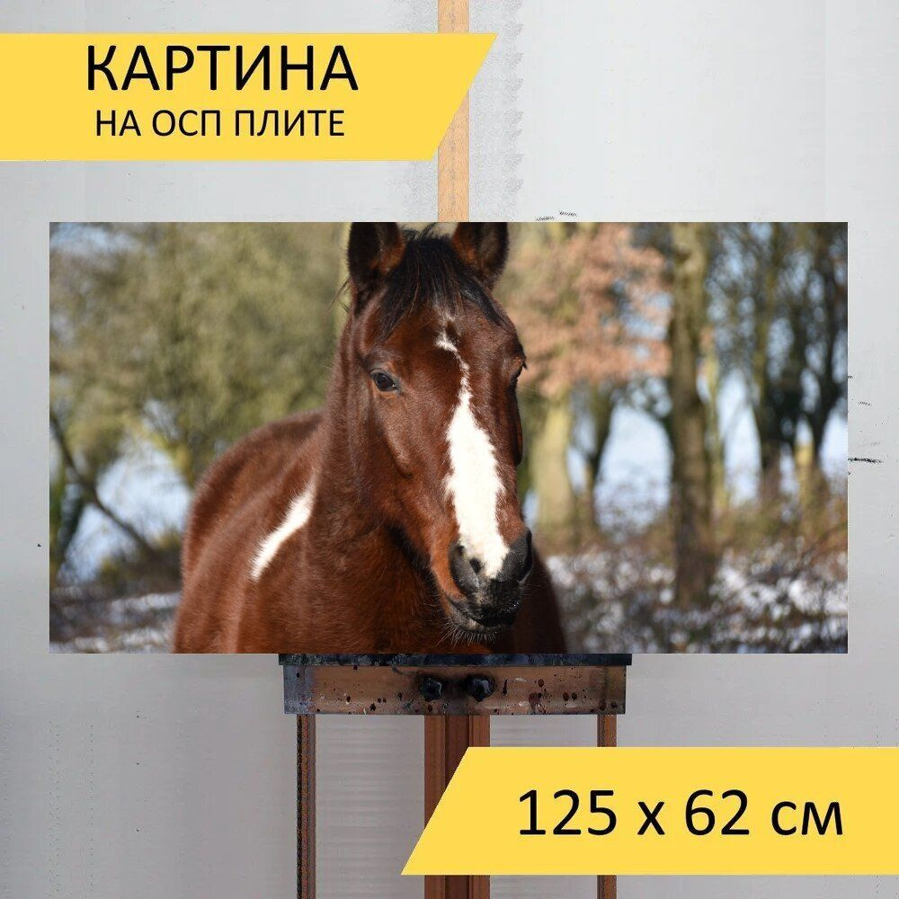 LotsPrints Картина "Лошадь, пегой лошади, белый список 43", 125 х 62 см  #1