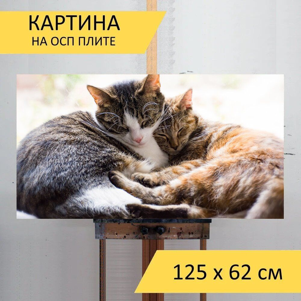 LotsPrints Картина "Кошки, домашние питомцы, спящий 65", 125 х 62 см  #1