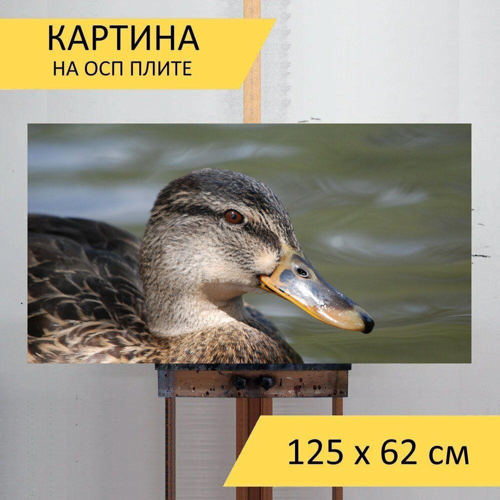 Картина птиц 