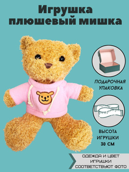 Smart teddy 2024