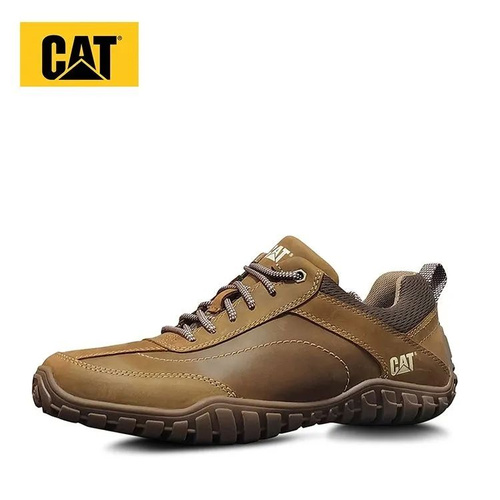 cat arise shoe