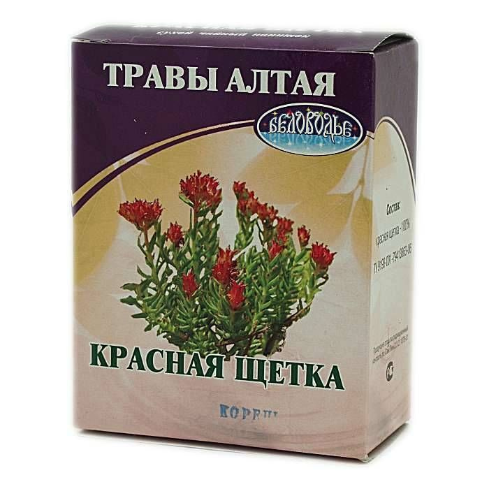 Купить Красная щетка "алсу" 50 г в Москве: цена с доставкой в каталоге интернет 