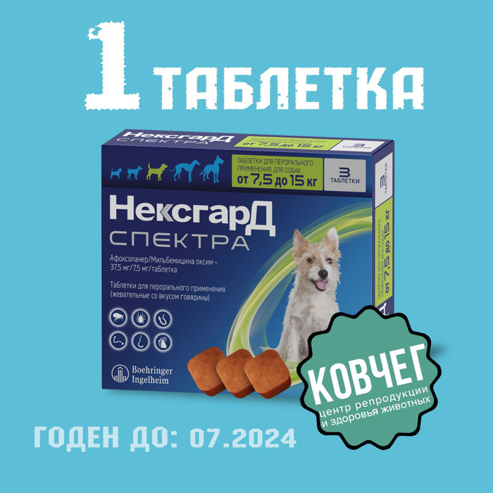 T: 04. Нексгард спектра для собак 7. T: 04. Нексгард спектра для собак 7. Нексгард спектра для собак 7.