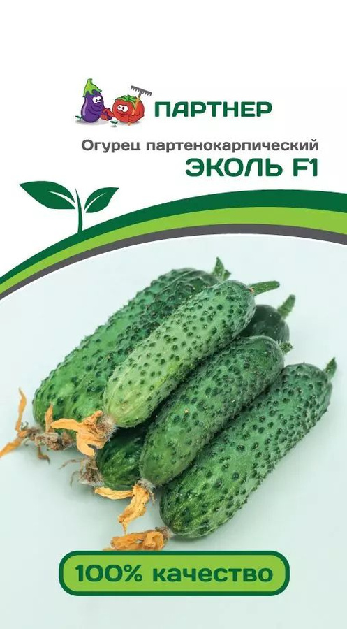 Огурец эколь отзывы Огурец эколь отзывы