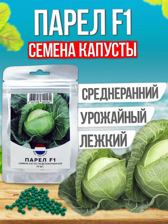 Капуста парел описание. Капуста Парел. Капуста Бартон. Капуста Парел f1 описание сорта фото отзывы.