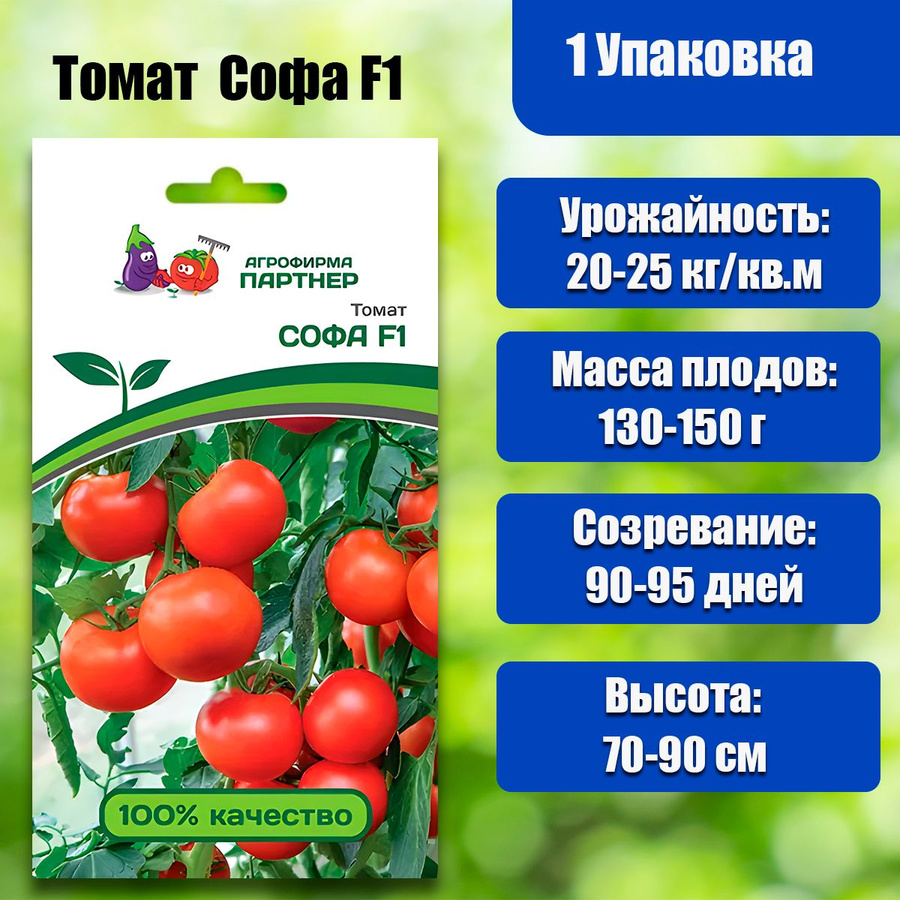 помидоры софа фирма партнер. семена томатов софа. томат софа. семена софа партнер томат. томаты софа агрофирмы партнер.